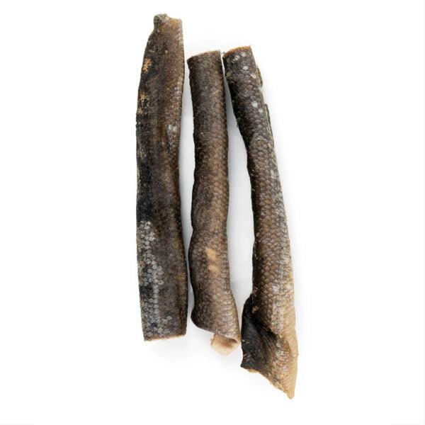 Freeze Dried Raw Salmon Skins - 5 Count