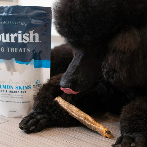 Freeze Dried Raw Salmon Skins - 5 Count