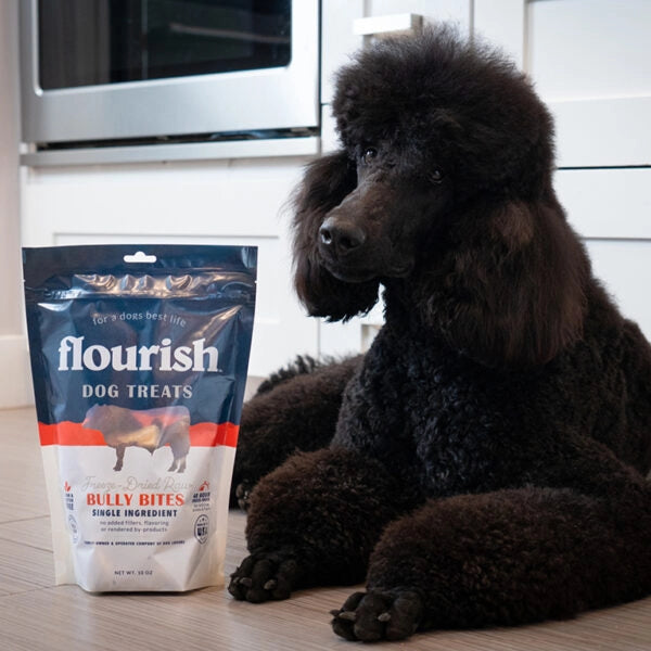 Freeze Dried Raw Bully Bites - 10oz