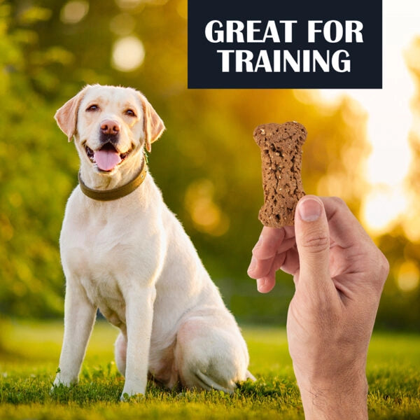 Turkey With Cranberry & Pumpkin Biscuits Dog Treats - 1 lbs