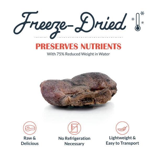 Freeze Dried Raw Pig Snouts - 4 Count