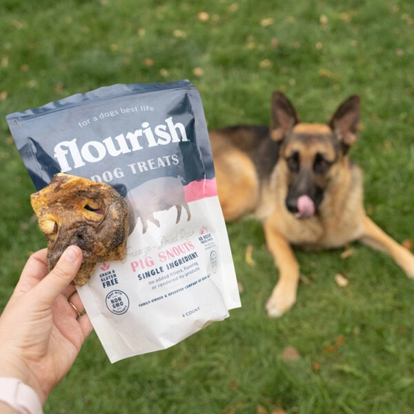 Freeze Dried Raw Pig Snouts - 4 Count