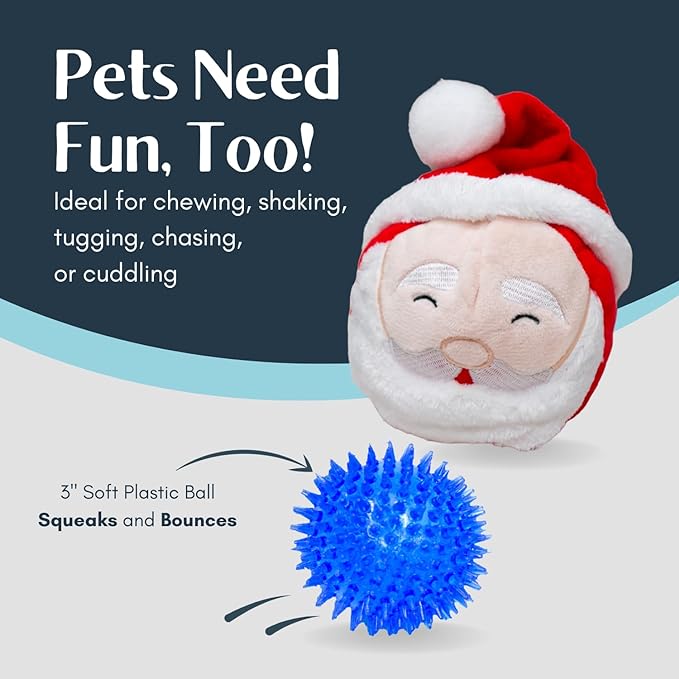 Christmas Santa