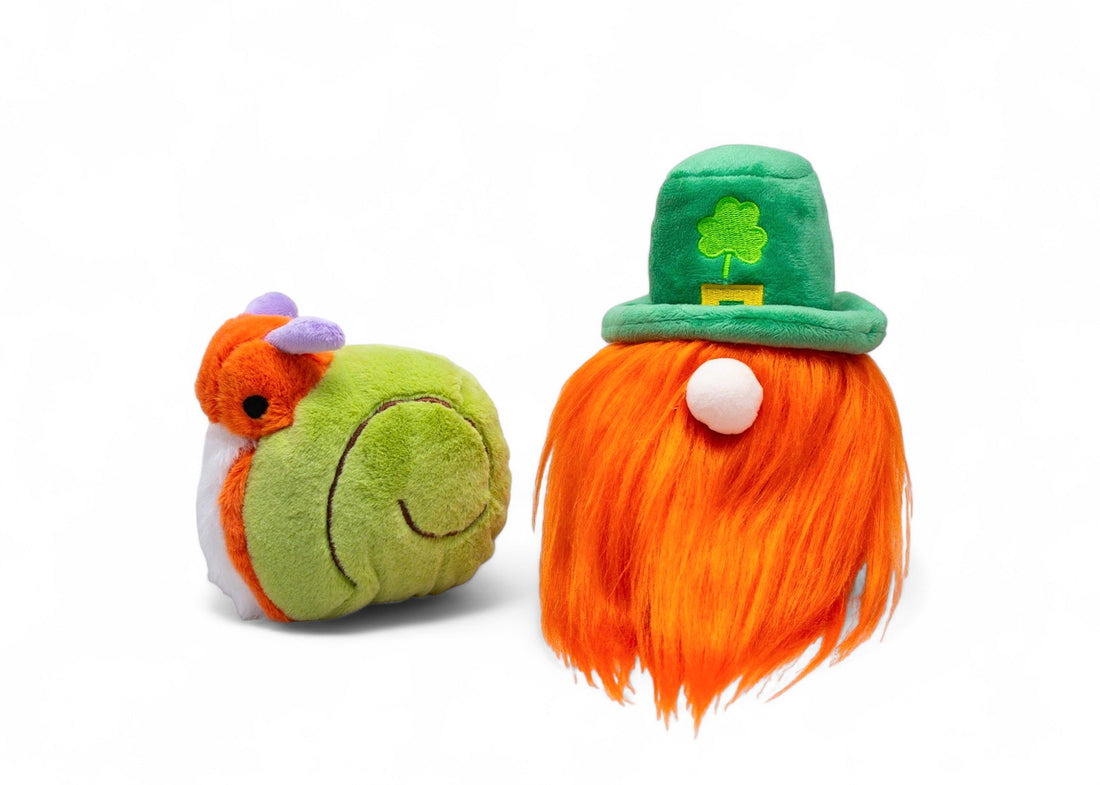 Snail And Leprechaun