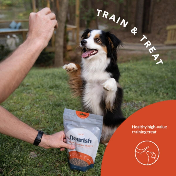 Freeze Dried Raw Beef Training Treat