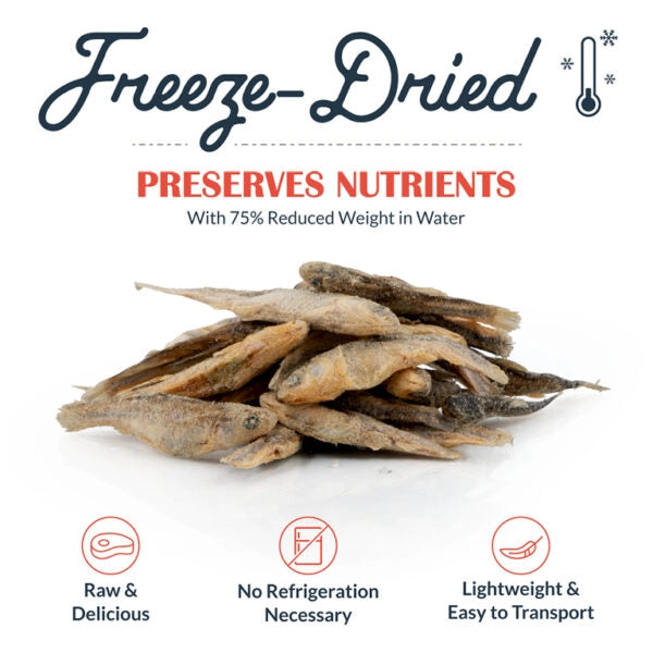 Freeze Dried Raw Minnows - 2.4oz