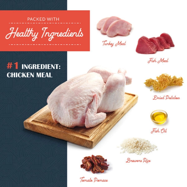 Chicken Meal &amp; Turkey Meal Formula Dog Food - 11 lbs